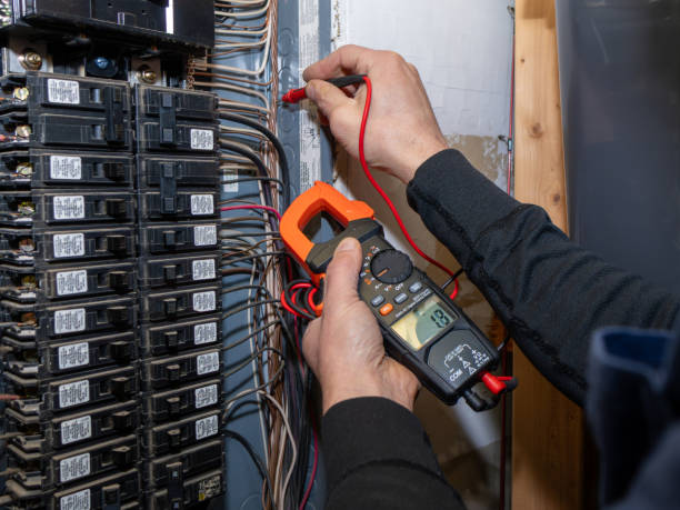 Best Electric Panel Repair  in Homestead, FL
